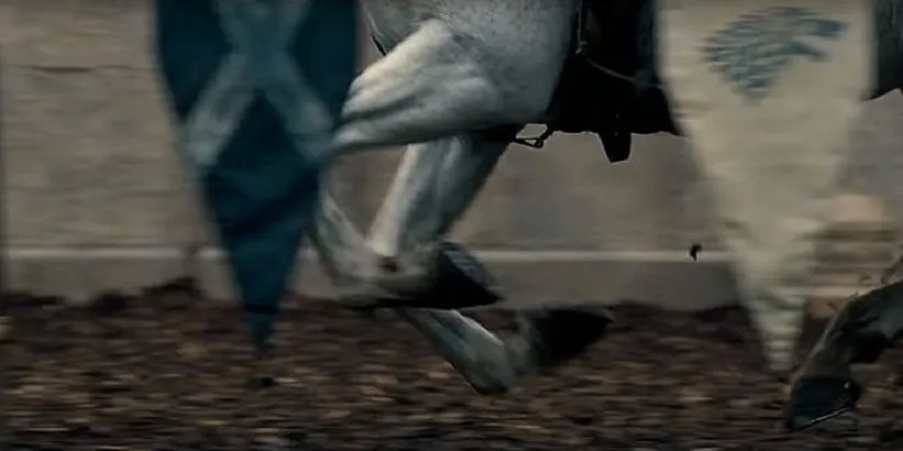 خاندان اژدها