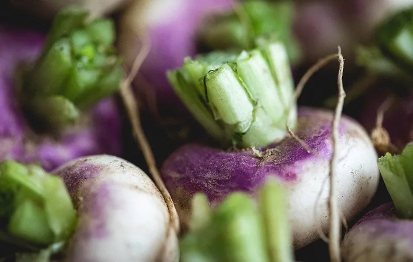 خواص شلغم خام