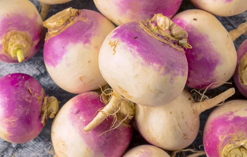 11 incredible properties of turnips (everything you need to know about them) batiyeh