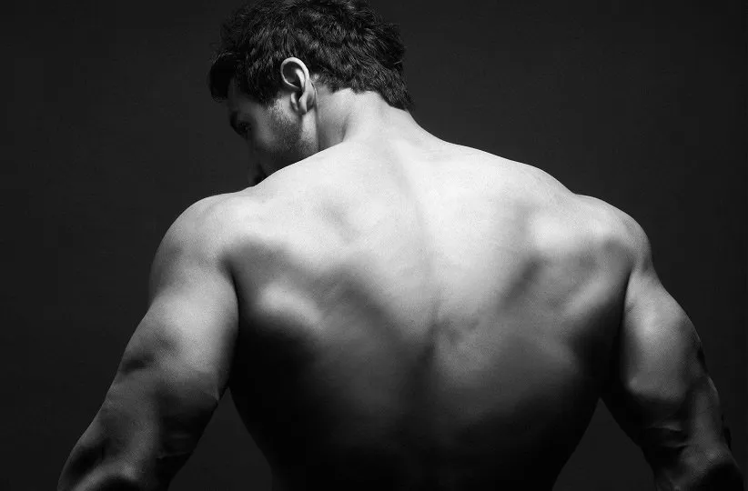 چگونه باید ماهیچه‌های پشت و زیر بغل را تقویت کنیم؟