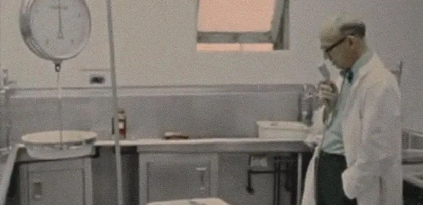 بهترین فیلم‌های کوتاه