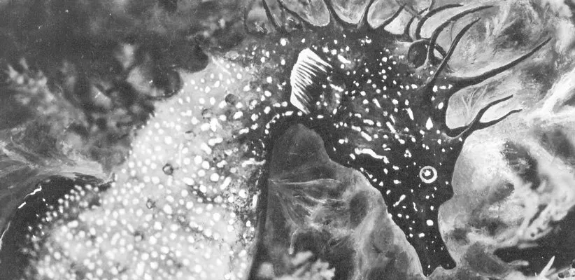 بهترین فیلم‌های کوتاه