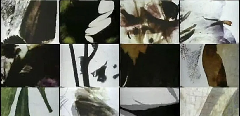 بهترین فیلم‌های کوتاه