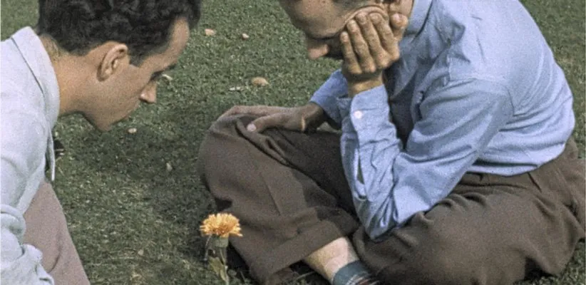 بهترین فیلم‌های کوتاه