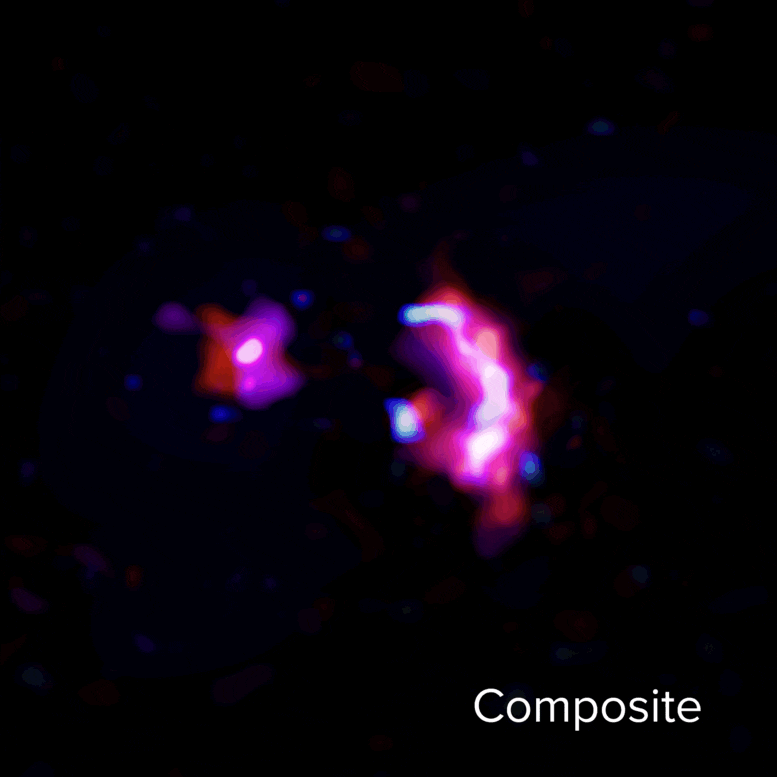 ترکیبات گوناگون کهکشان SPT0311-58