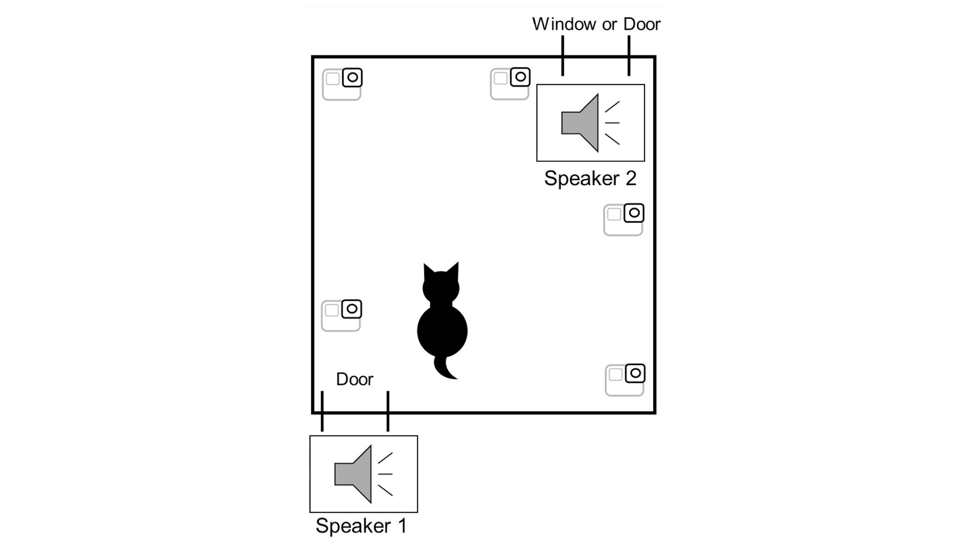 آزمایش نقشه‌ی ذهنی گربه‌ها توسط سیگنال‌های صوتی آشنا