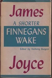 کتاب بیداری فینگان