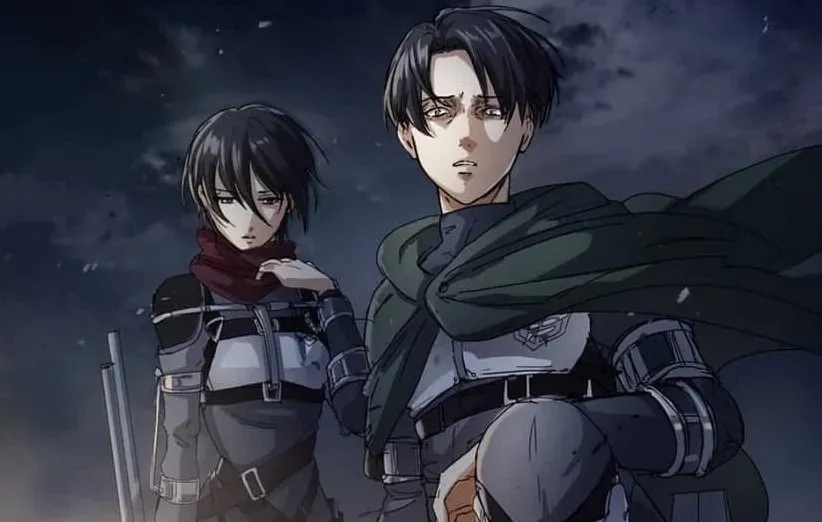 میکاسا و لیوای