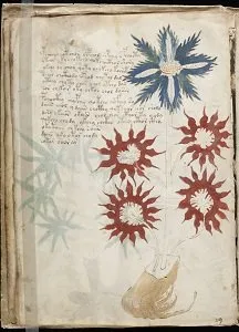 کتاب دستنوشتههای وُینیچ