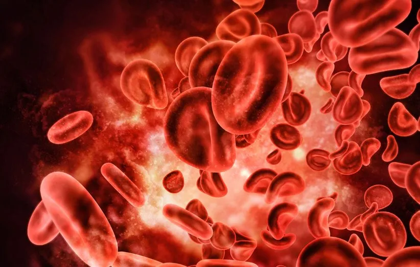 انواع سرطان خون