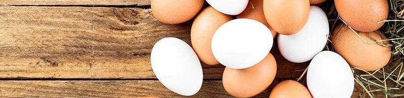 تخممرغ قهوهای در برابر تخممرغ سفید