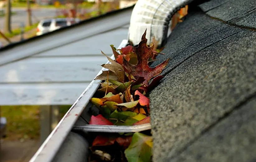 ناودان‌‌های پر از برگ‌های خشک 