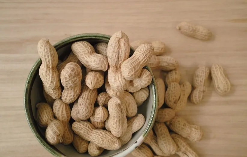 بادام‌زمینی از منابع آرژنین