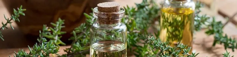 ۱۳ خاصیت آویشن