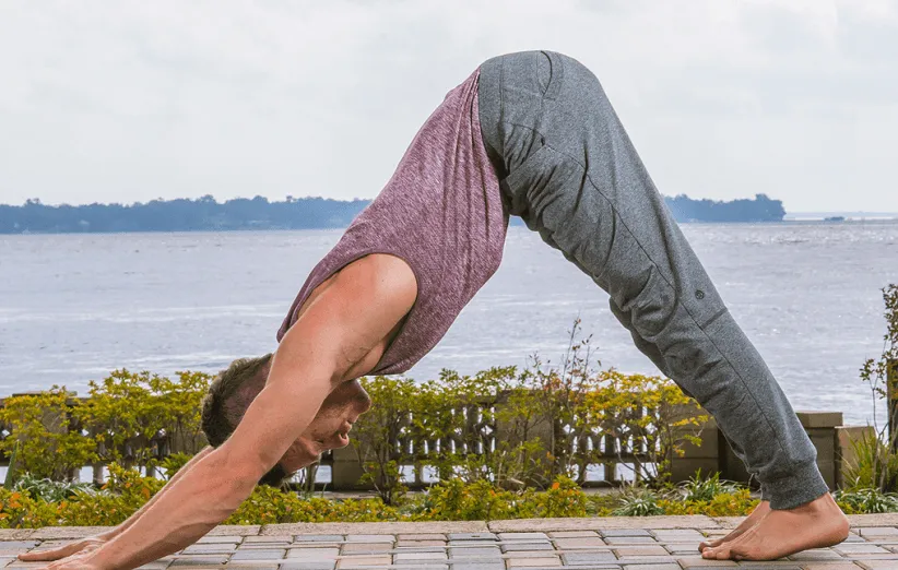 «سگ سر پایین» (Downward Dog)