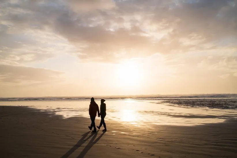 دوربین فوجی فیلم X100V