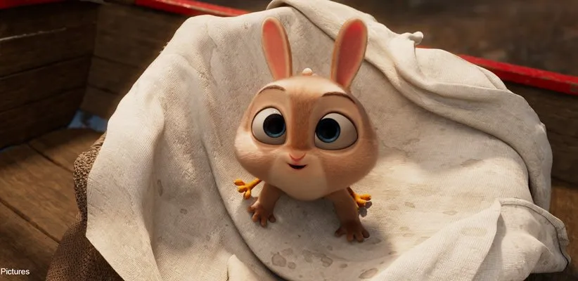 انیمیشن خرگوش