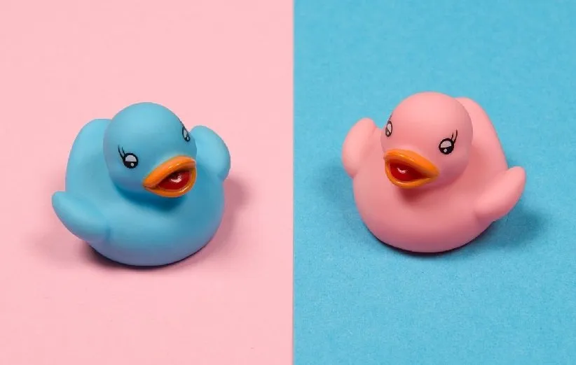 برابری جنسیتی