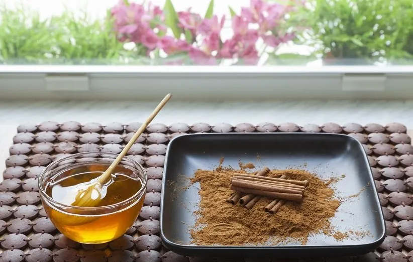 عسل و دارچین به حفظ سلامت موها کمک می‌کنند