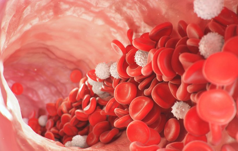 لکوسیتوز یا افزایش گلبول‌های سفید خون چیست؟ (دلایل، علائم و روش‌های درمان)  • دیجی‌کالا مگ