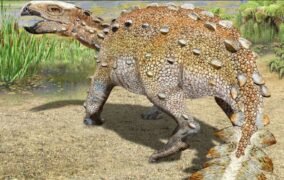 طرحی گرافیکی از استگروس دایناسور گونه‌ی جدید دایناسور کشف شده در شیلی