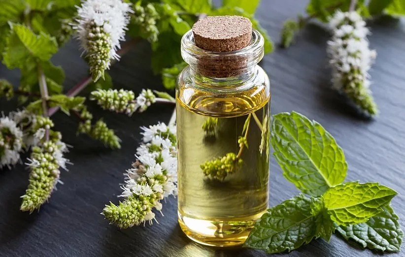 از بین بردن شپش