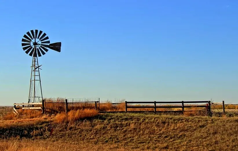 مزرعه کودکی والت دیزنی