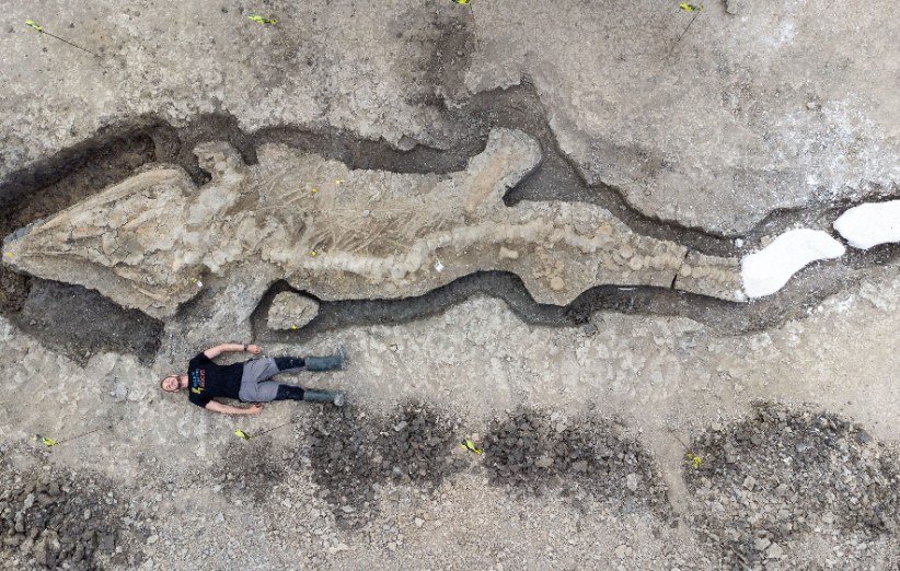فسیل 10 متری ایکتیوسور کشف شده در بریتانیا