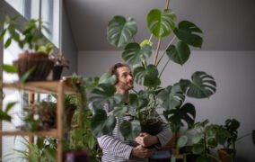 راهنمای ساخت گلخانه‌ی آپارتمانی در 3 مرحله (همراه با توصیه‌هایی برای انتخاب گیاهان)