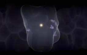 طرحی گرافیکی از حباب محلی و منظومه‌ی شمسی در مرکز آن