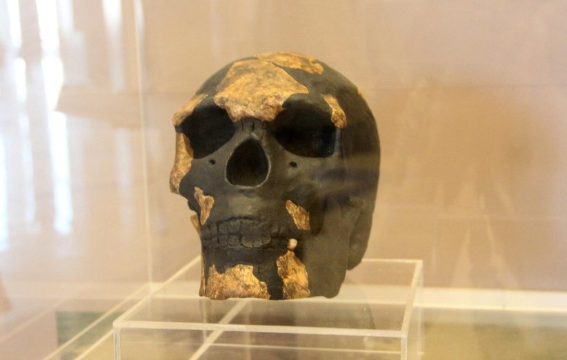 بازسازی جمجمه‌ی انسان یافت شده در منطقه‌ی اومو کیبیش آفریقا در موزه‌ی تمدن سیاهان داکار