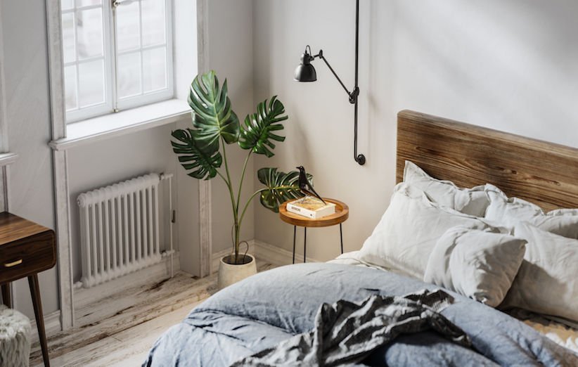 آیا نگهداری از گیاهان در اتاق خواب کار درستی است؟