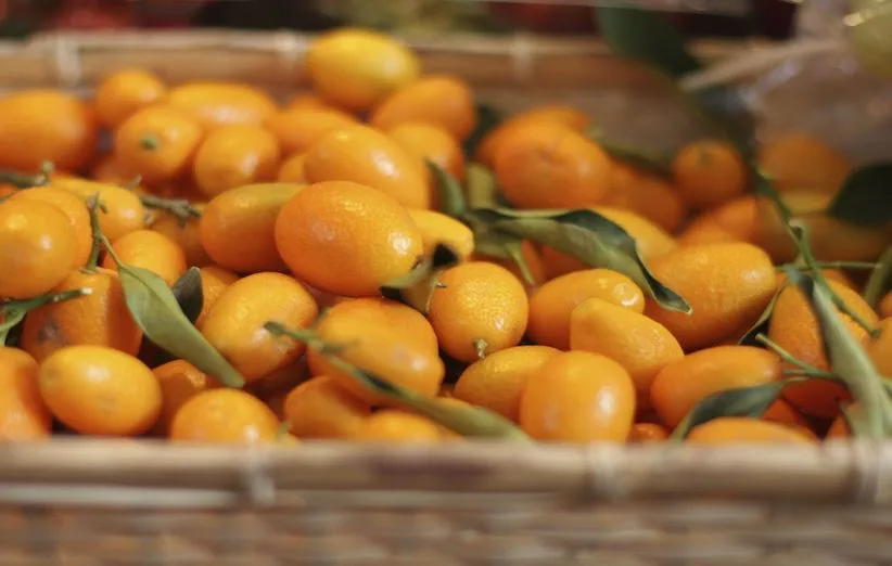 نکاتی برای خرید و استفاده از کامکوات