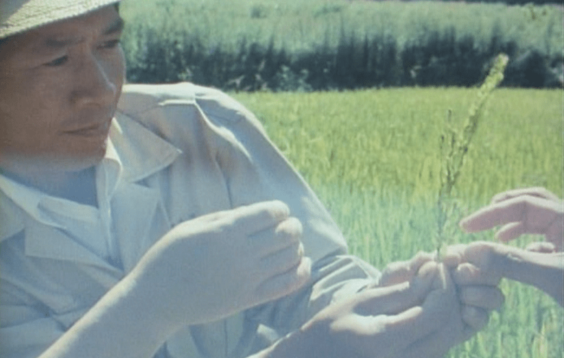 مستند یک دهکده‌ی ژاپنی