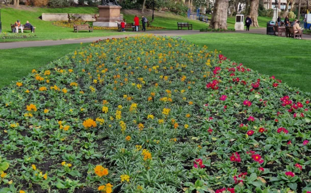 تصاویر ثبت شده گلکسی S22 اولترا