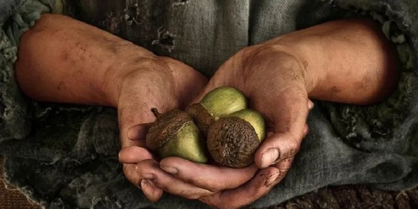 ارباب حلقه‌ها