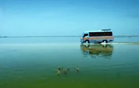 فیبم بندر بند