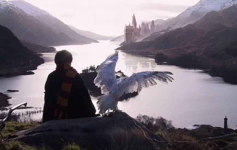 هری و هدویگ در دریاچهی هاگوارتز