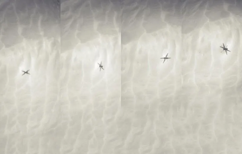 سایه‌ی بالگرد نبوغ در بیستمین پرواز مریخی