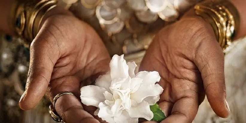 ارباب حلقه‌ها