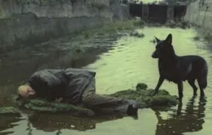 آندری تارکوفسکی؛ تلفیق ایمان و تغزل (فیلم‌ساز زیر ذره‌بین)