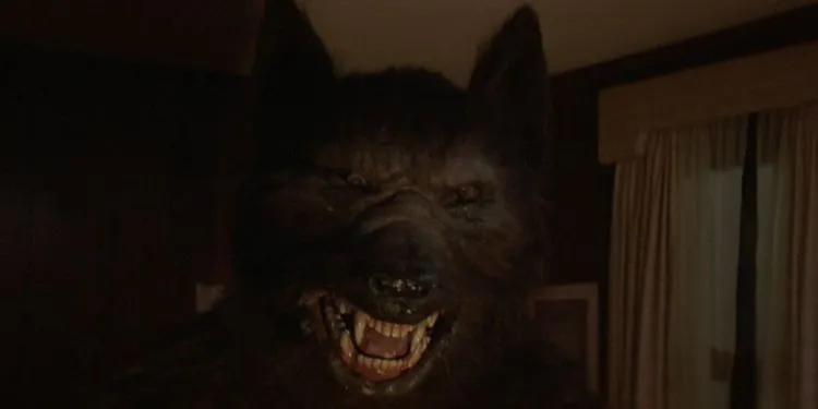 چیزهای عجیب