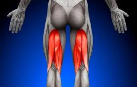 8 تمرین برتر برای تقویت ماهیچه‌ی همسترینگ و بهبود پویایی بدن