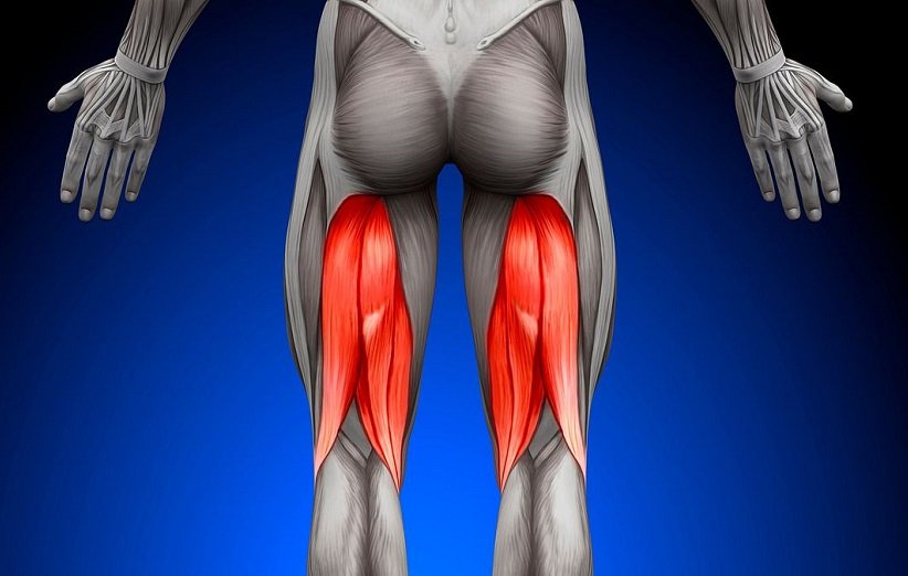 8 تمرین برتر برای تقویت ماهیچه‌ی همسترینگ و بهبود پویایی بدن