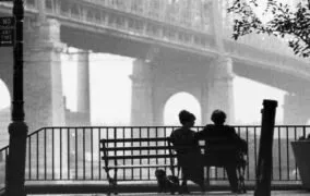 کارگردان و شهر