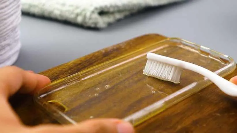 قاب ژله‌ای