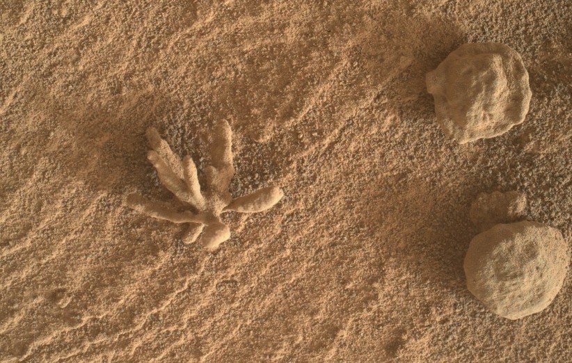 سنگ معدنی گل-مانند روی سطح مریخ