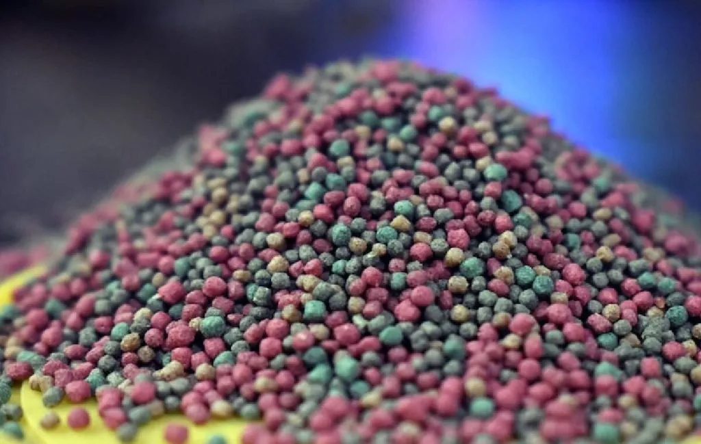 غذای ماهی خوشمزه