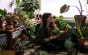 ترفندهایی برای مراقبت از گیاهان و تکثیر آن‌ها در خانه