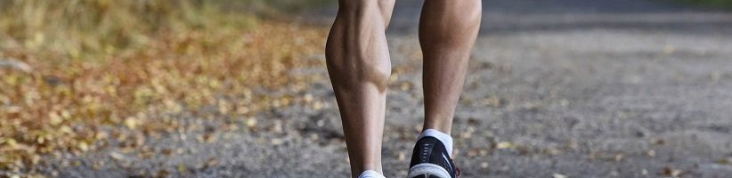 عضله‌های ساق پا